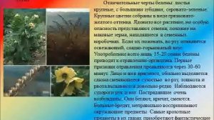 Презентация Ядовитые растения Среднего Урала