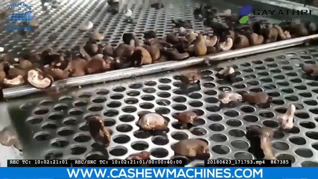 GIT ASM 600 - Automatic Cashew Shelling System смотреть онлайн