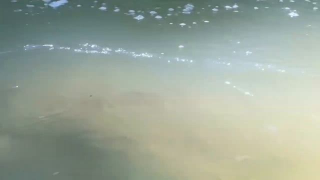 Ретрит в Мезмай - трекинг к водопада смотреть онлайн