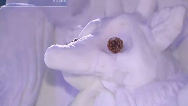 Идеи здорового образа жизни и спорта воплотятся в снежных и ледовых фигурах смотреть онлайн