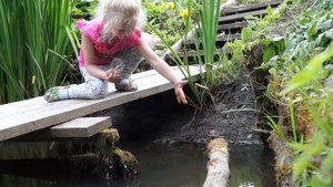 Отпуск на даче