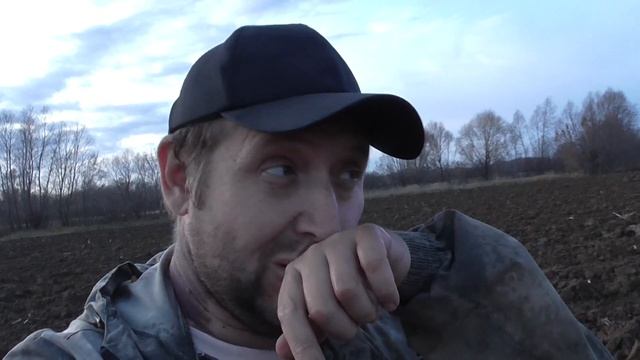 НЕОЖИДАННО НАШЁЛ ИХ ВЕЧЕРОМ В ПОЛЕ!