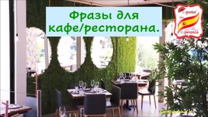 Разговор с официантом: полезные фразы для кафе и ресторана.