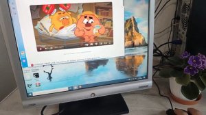 benq G900 монитор 17"