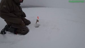 Рыбалка на Зюраткуле.  Ужасная мартовская погода!!