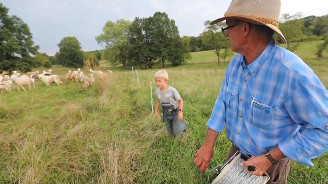 Greg Judy’s Grass-fed Sheep Operation | Extended Tour смотреть онлайн