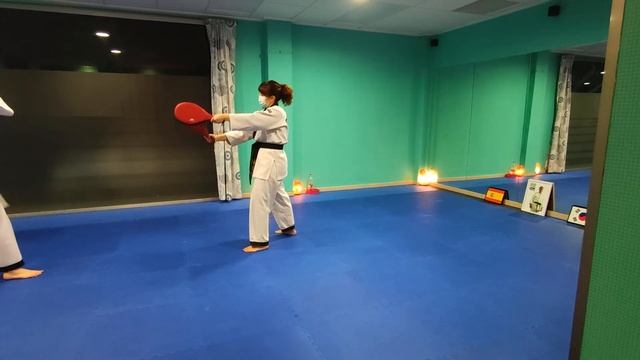 primera clase online hapkido смотреть онлайн