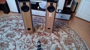 Переделка АС из АО ФИ в TQWP (2 часть) & Ноэма 100ГДШ