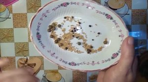 Вкуснейшая заготовка на зиму овощное  АССОРТИ !!! Глобус.