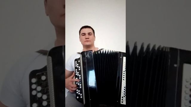 Рифат Зарипов репертуарыннан "Туган авыл".