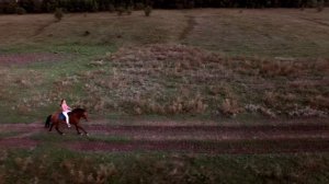 Аэросъёмка верховой прогулки, девушка на коне, лошадь на природе, съёмка с квадрокоптера.