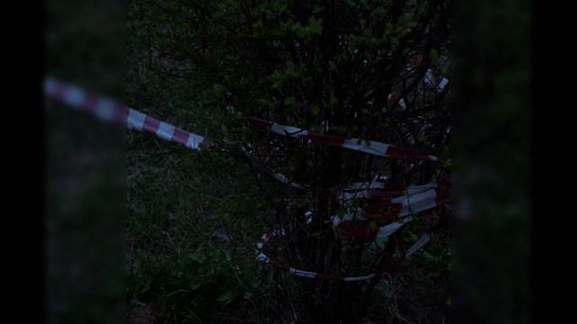 10AGE - Нету интереса (speed up) смотреть онлайн