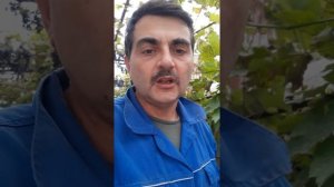 применение бытовых моющих средств в качестве пластификатора для бетонов и растворов