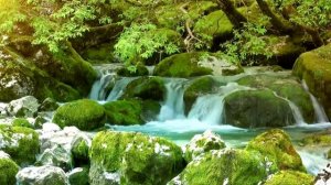 Успокаивающая музыка для нервной системы