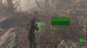 Fallout4 Легендарный бешеный Яо гай