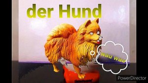 Tiere auf Deutsch Lernvideo German vocabulary animals Животные на немецком