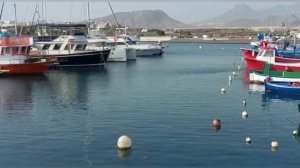 Las Galletas Tenerife. Отдых в  яхтгавани Лас Гайетас. Замечен огромный скат с длинным хвостом.