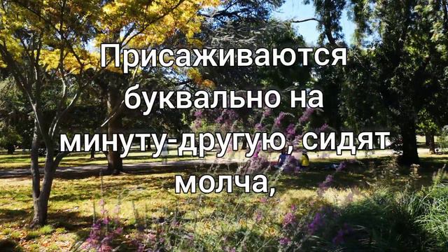 Примета "посидеть на дорожку" смотреть онлайн