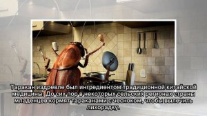 Зачем на гигантской ферме в Китае разводят по шесть миллиардов тараканов в год