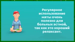 ЧТО ЛЕЧИТ МЯТА? | ПОЛЬЗА И ВРЕД