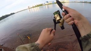 Лещь на сало  на Неве и обрезки тапка! Тверская кормушка ловит!
