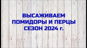 ВЫСАЖИВАЕМ ПОМИДОРЫ И ПЕРЦЫ. СЕЗОН 2024 г.