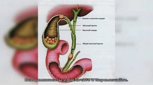 Как снять боли с желчного пузыря