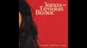 Nasty Babe, White Boy X, SOLWAY - Запах её тёмных волос (1ЧАС)