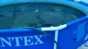 УЗВ и кислород