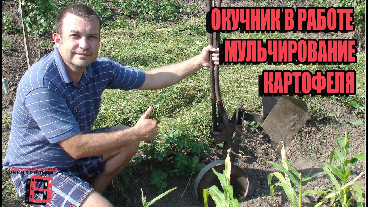 ОКУЧИВАЕМ ПРОСТО С ПОМОЩЬЮ ОКУЧНИКА. МУЛЬЧИРОВАНИЕ КАРТОФЕЛЯ. СЕКРЕТЫ ВЫРАЩИВАНИЯ КАРТОФЕЛЯ 3. САД