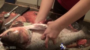 Удивительно, как быстро и легко почистить толстолобик #Рекомендации #Майстер2020 #Ладичин#рокоменду