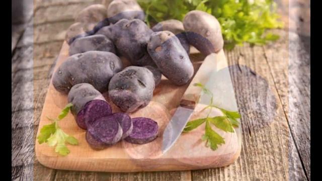 12 гигантских Растений Гибридов, которые можно вырастить у себя на даче! Они удивительны! смотреть онлайн