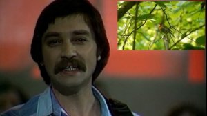 Верасы Малиновка Песни нашей молодости