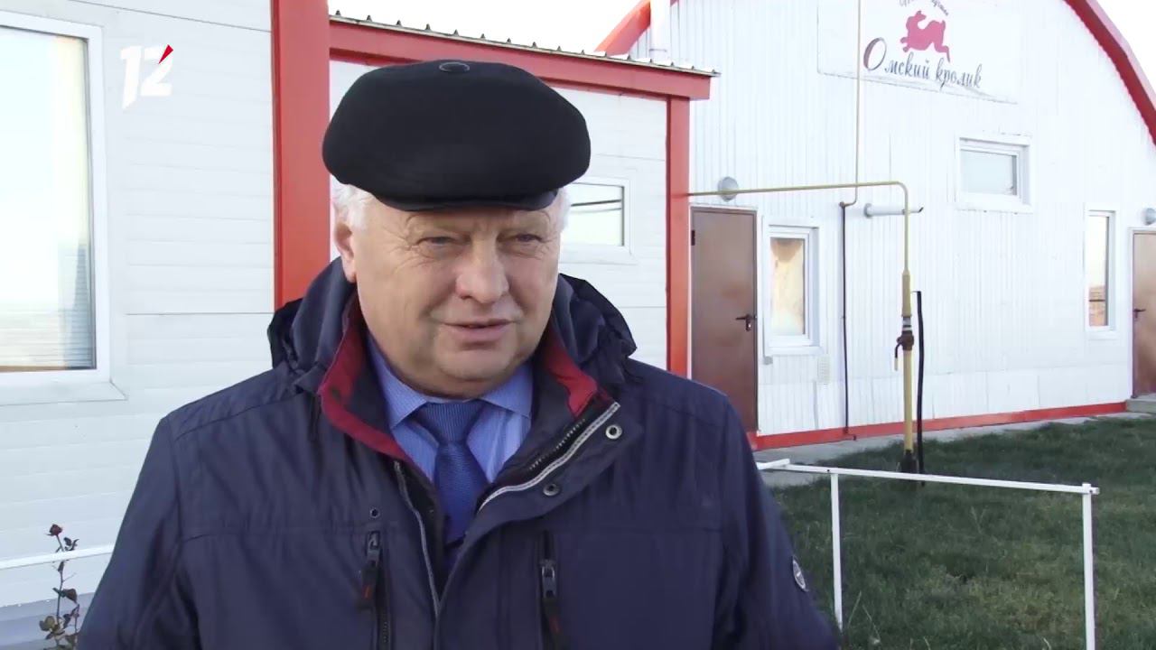 12 канал омск 2008. Местные жители последний выпуск омск. Программа местные жители на 12 канале в омске последний выпуск. Омск местные жители с ольгой чернышовой выпуск в деревне хамутмнка. Местные жители с оксаной савочкиной последний выпуск.
