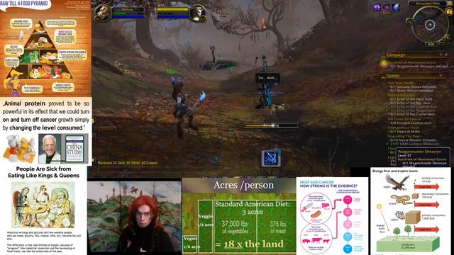 lets play wow shadowlands on alliance the shadowland BAMUDO смотреть онлайн