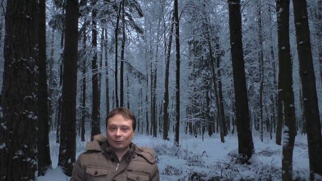 Что значит взять ответственность за свою жизнь? Подробный ответ смотреть онлайн