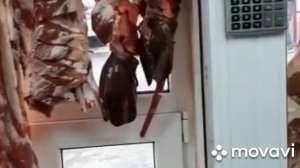 торговля продажа мяса баранина говядина без костей костями