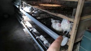 Как убрать влажность в курятнике /Отопление помещения