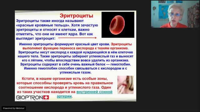 Вебинар | Кровь людская не водица | Курочкина ЕР смотреть онлайн