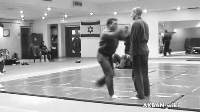 Ran setsu no kata, Koto ryu смотреть онлайн