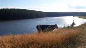Чудесная красота Урала | п. Нейво-Шайтанский