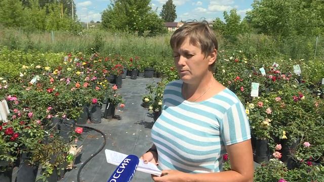 Своя земля. 19.07.2022