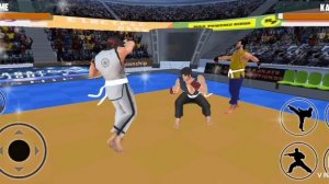 спорт игра карате 1