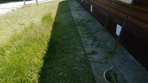 28.06.21.Безопасный покос травы.На 3 сотки, расход бензина - 1 бак бензина.+79241232444 Владимир С.