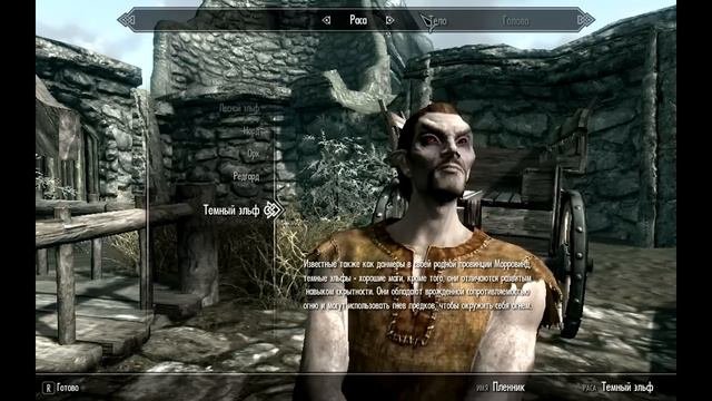 Skyrim - Прохождение  (1-1)