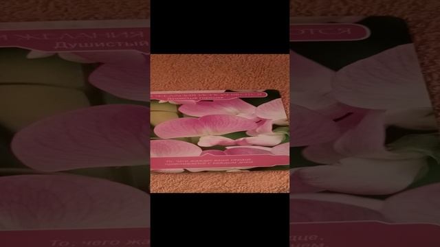ЦВЕТОЧНАЯ ТЕРАПИЯ:? предсказание на завтра!