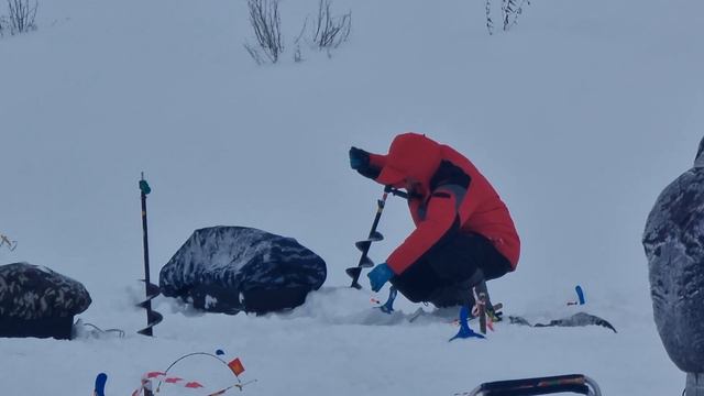 11 января 2024 г. смотреть онлайн