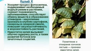 Минеральные удобрения