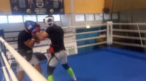 Alex karchevski vs david tzeplizki sparing 2016 bat yam