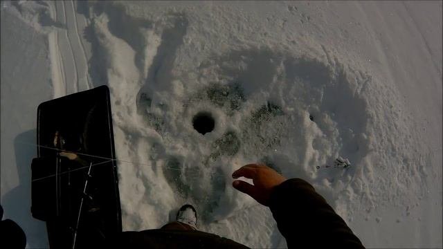 Саяно-Шушенское водохранилище. Окунь на балансир.